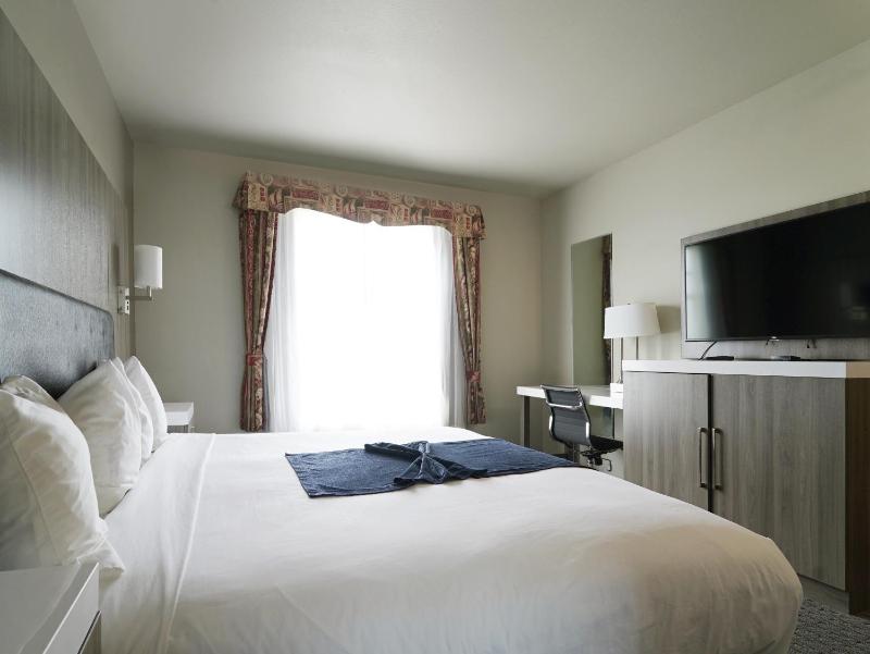 Deluxe Suite with Ocean View image 3