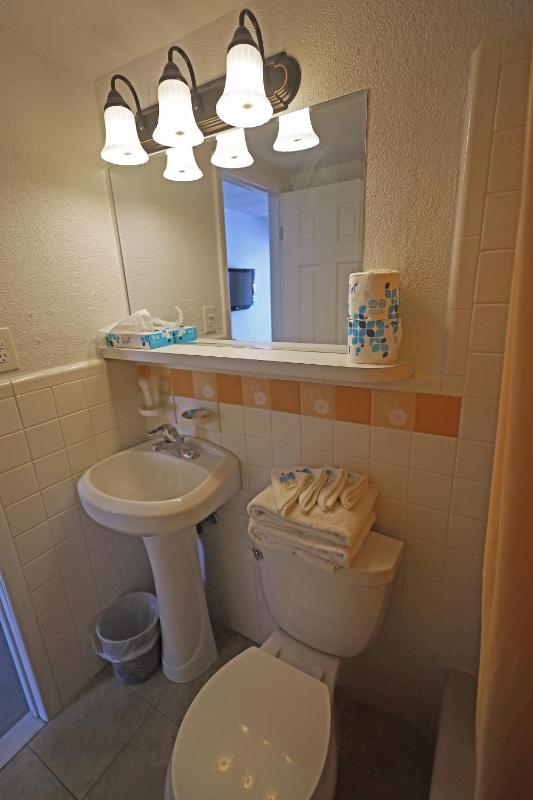 Deluxe Suite image 1