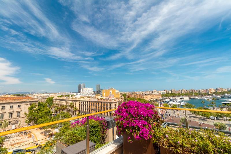 Penthouse Apartment image 2