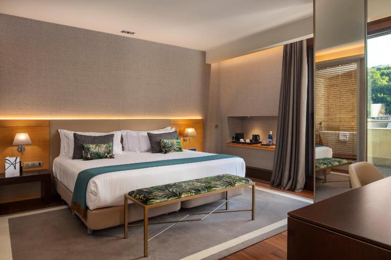 Premium Suite with Terrace image 3