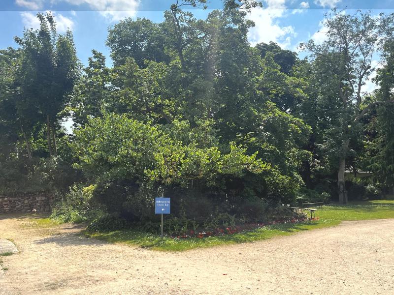 Hôtellerie L'Enclos Rey - image 6