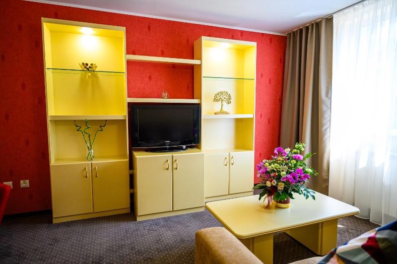 Hotel Bulevard - image 14