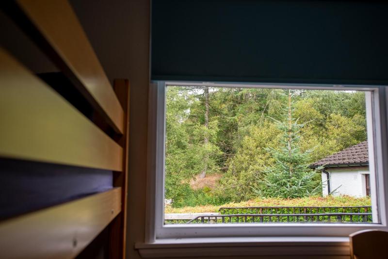 Bunk Bed in Female Dormitory Room   image 3