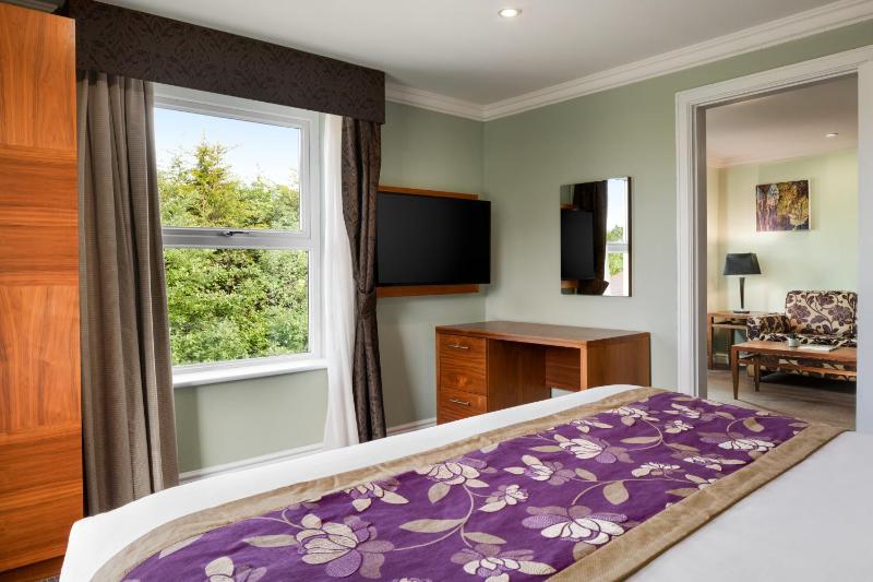King Suite with Sofa Bed - Non-Smoking image 4