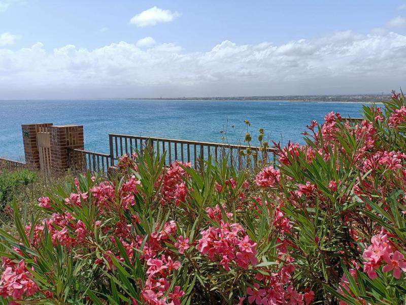 For a Stay Bahia 3 - image 13