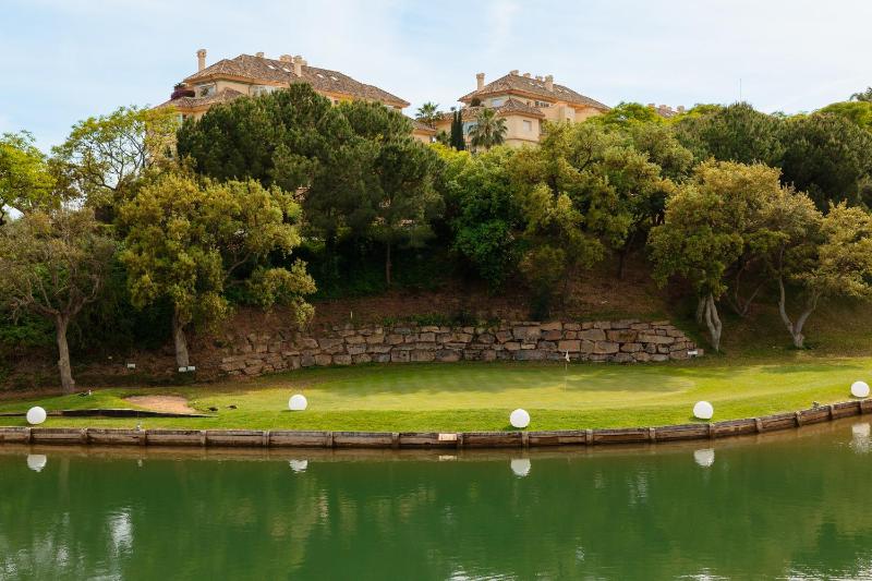 Villa in Elviria a retreat among palm trees with private heated pool and barbecue Marbella - image 4