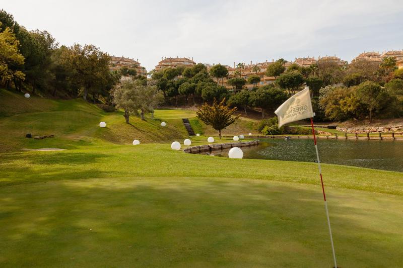 Villa in Elviria a retreat among palm trees with private heated pool and barbecue Marbella - image 11
