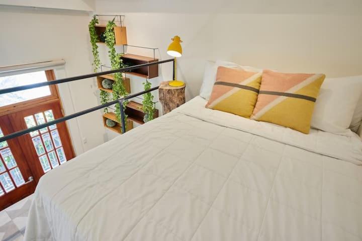 AmazINN Panamá Casa Arias Boutique - image 3