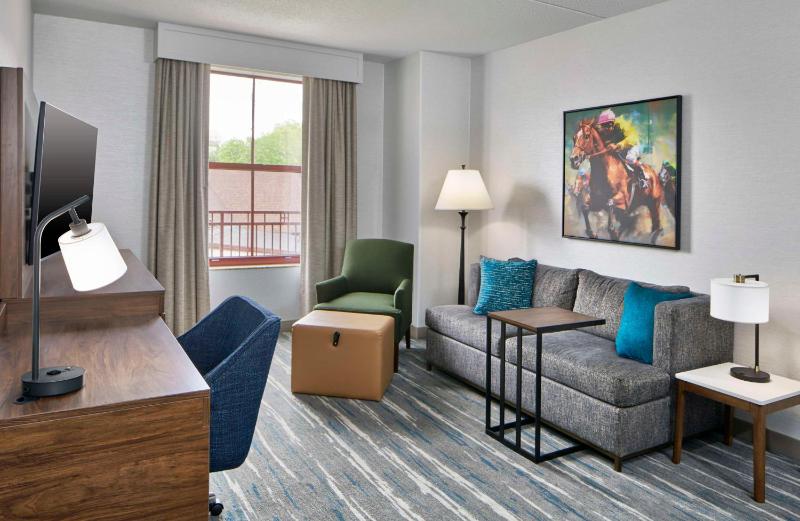 Deluxe King Suite with Sofa Bed image 1