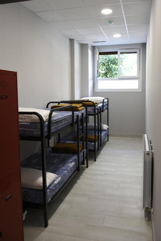 Bunk Bed in Mixed Dormitory Room image 3