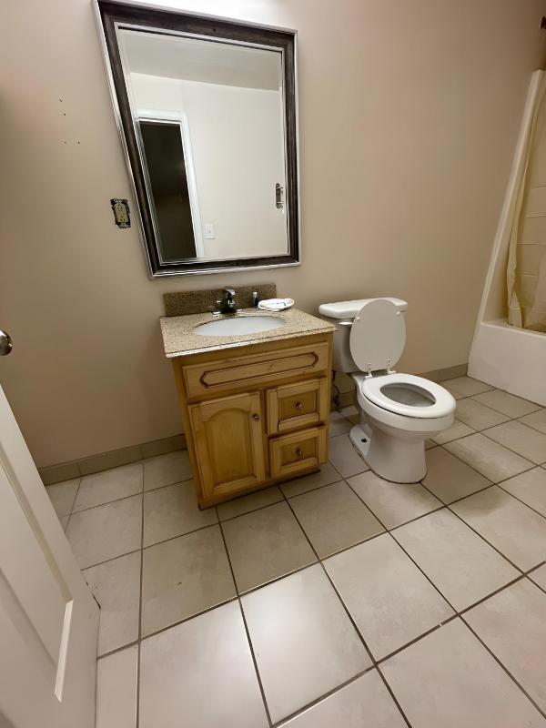 Standard Double Room image 4