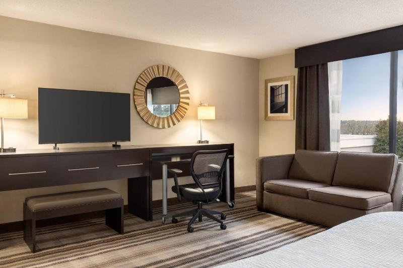 Junior King Suite image 3