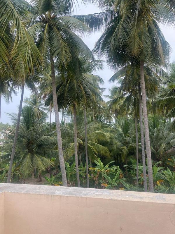 Madurai Home Stay - image 8