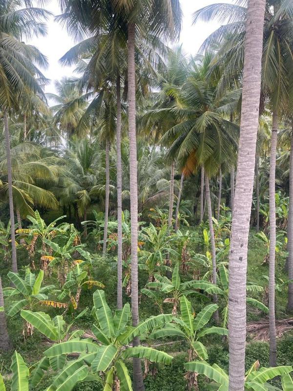 Madurai Home Stay - image 6