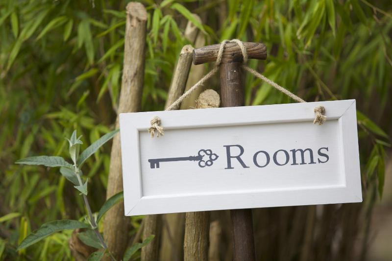 Seckel Luxury Garden Room, Accessible - Pet Friendly image 2