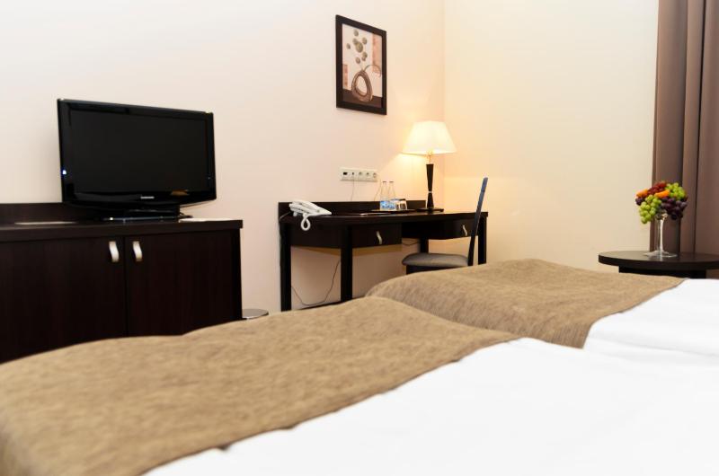 Budget Twin Room - separated building  image 4