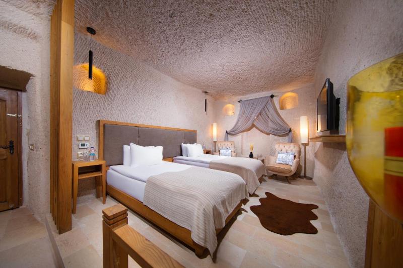 Superior Double or Twin Room image 2