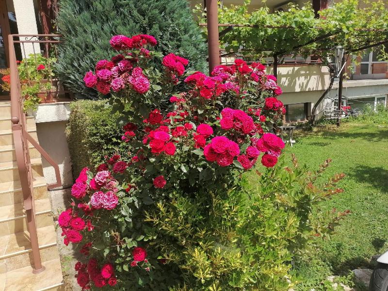 St. George Guest House - image 19