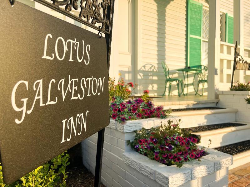 Lotus Galveston - image 28