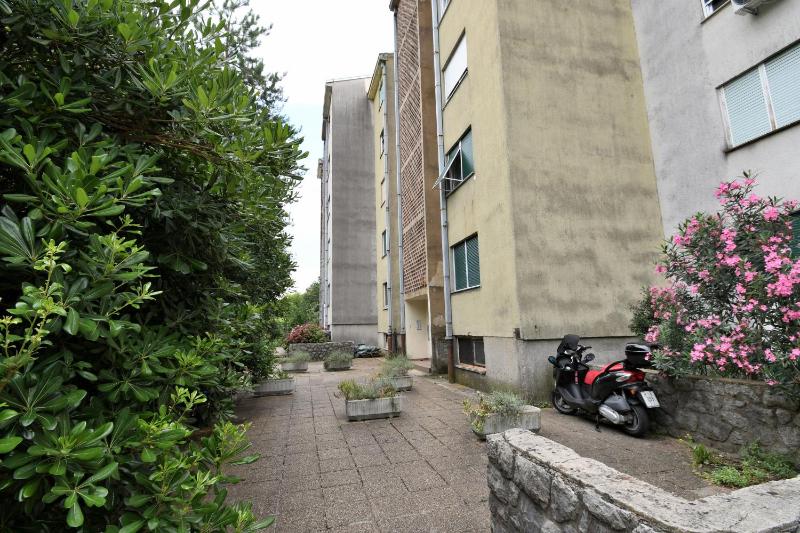 Apartment City - image 2