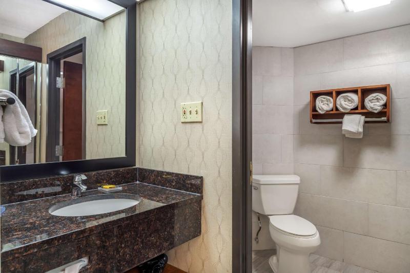 King Suite with Sofa Bed image 2