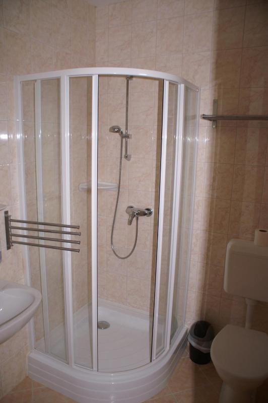 Apartment - Split Level image 4