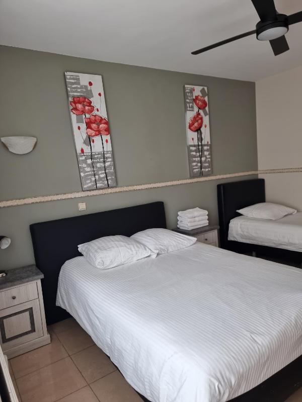 One-Bedroom Apartment image 3