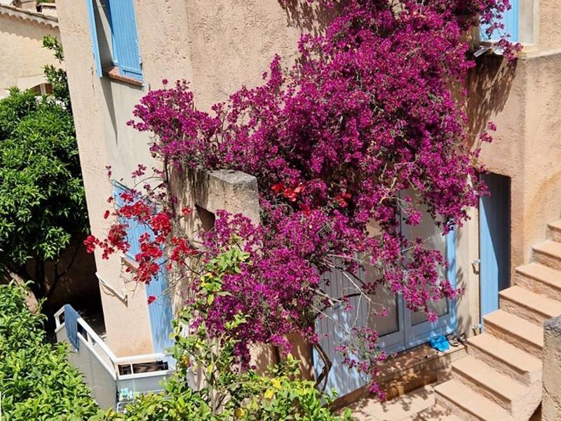 Appartement Hyères : 2 pièces jardin privé proche plage et port WIFI parking - FR-1-335-161 - image 8