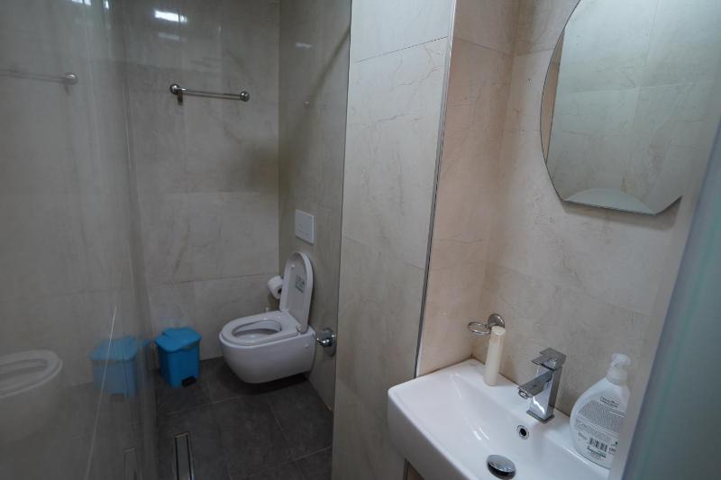 Driti Central Hotel - image 8