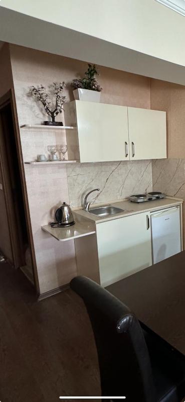 Deluxe Suite image 3