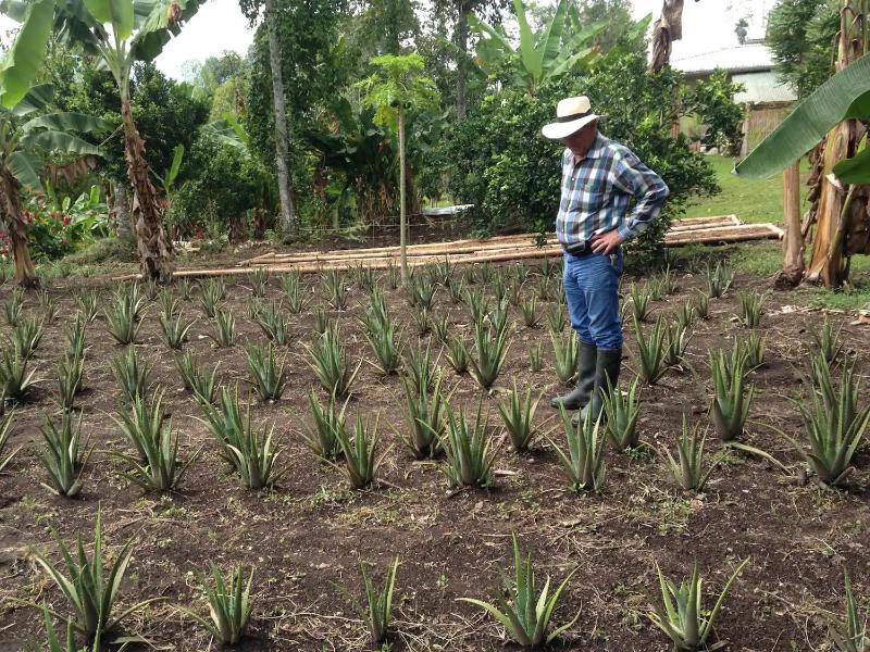 Charming Coffee Region Farm Escape - image 37