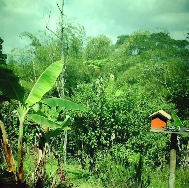 Charming Coffee Region Farm Escape - image 9