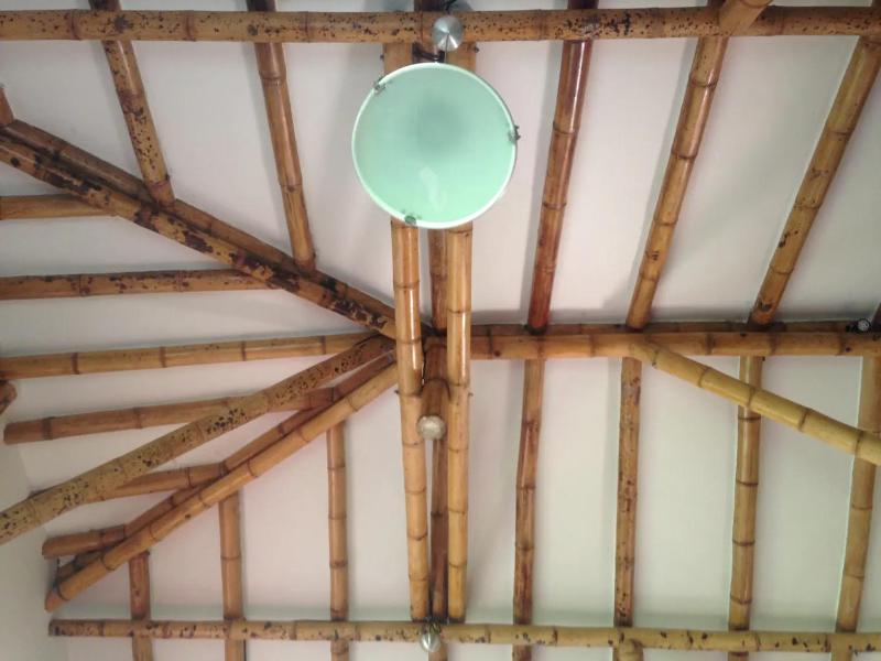 Charming Coffee Region Farm Escape - image 17