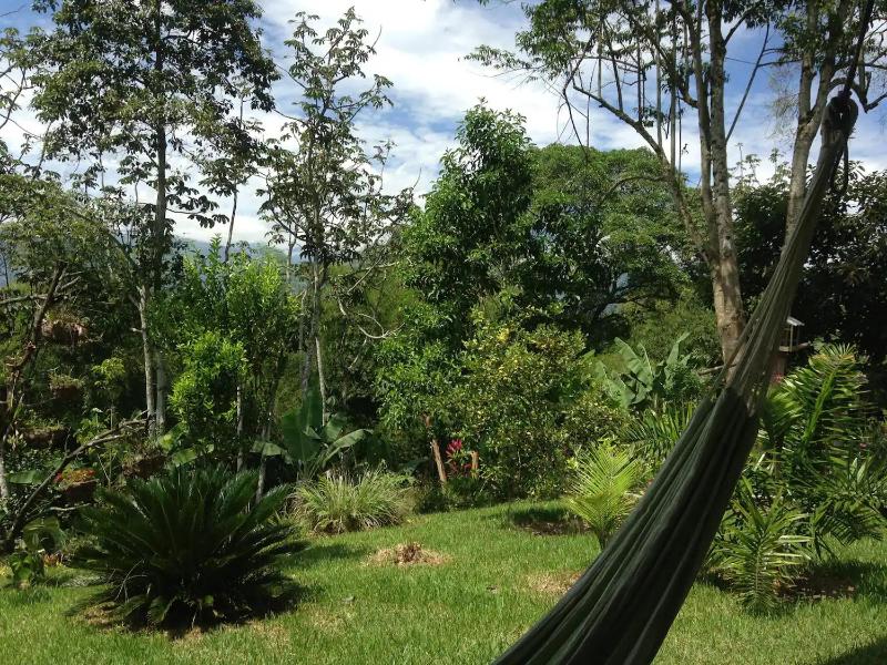 Charming Coffee Region Farm Escape - image 6