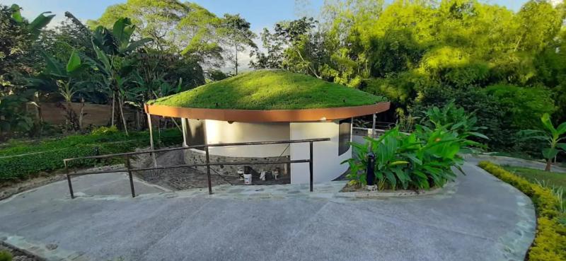 Small Round House with Living Roof - image 2