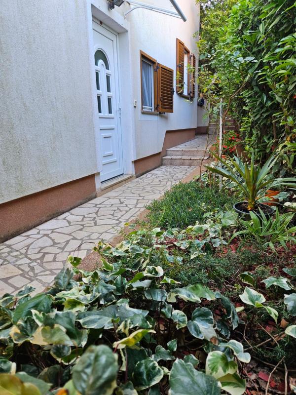 Studio with Terrace image 2
