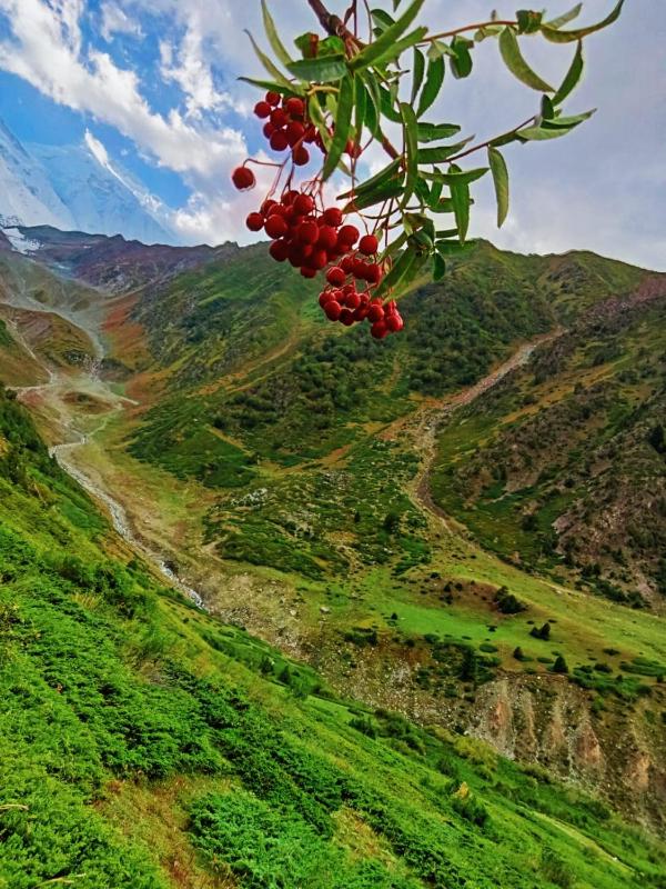 Cosy Camping Site Hapakun by Manokur- e- Basa - image 15