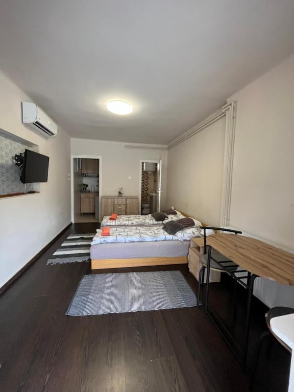 One-Bedroom Apartment image 3