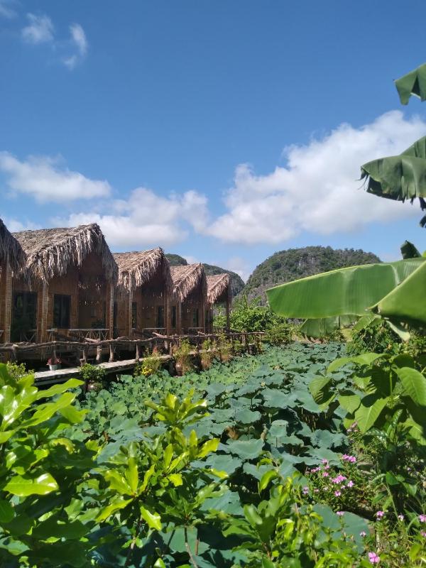 Hang Múa Lotus Homestay - image 35