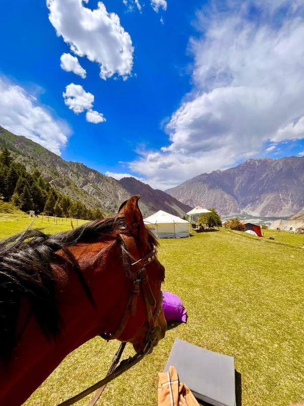 Cosy Camping Site Hapakun by Manokur- e- Basa - image 6
