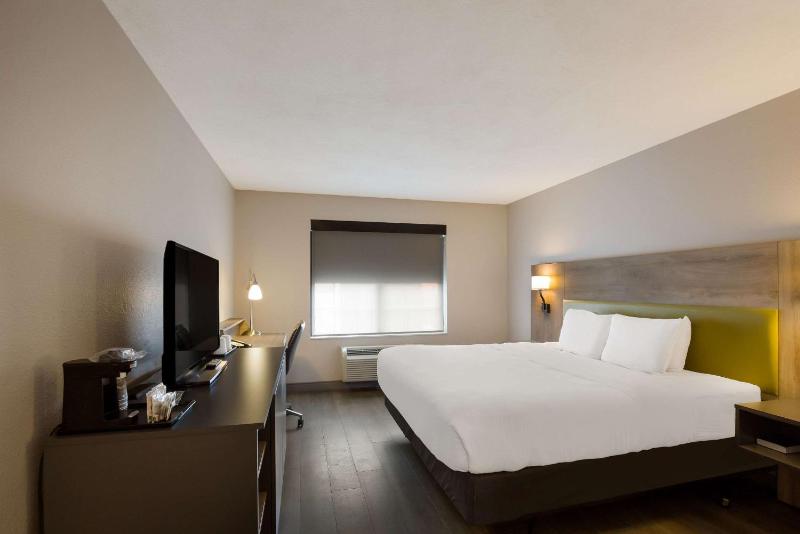 King Room image 4