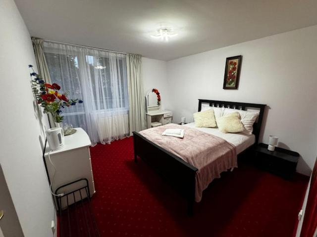 DW BUTIK Hotel 300m od plaży - image 14