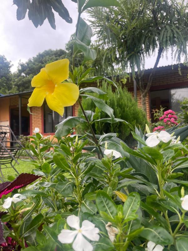 Himalaya Serene View Guest House & Farm Stay - image 11