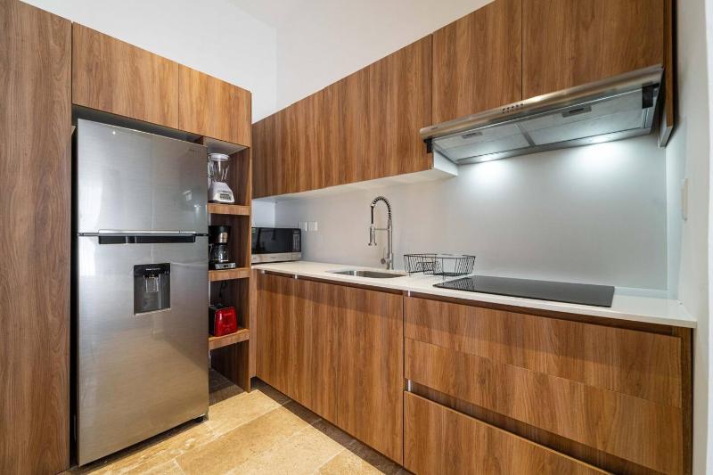 Lux Studio with Private Plunge Pool and Gym - image 12