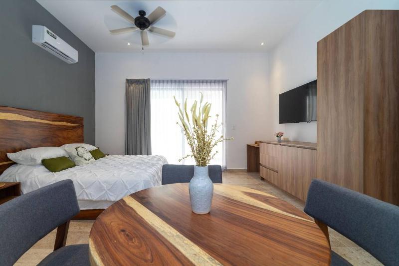 Lux Studio with Private Plunge Pool and Gym - image 10