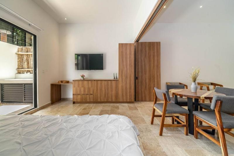 Lux Studio with Private Plunge Pool and Gym - image 16