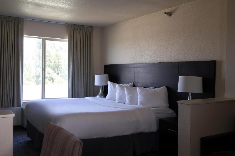 Junior Suite - Disability Access image 1
