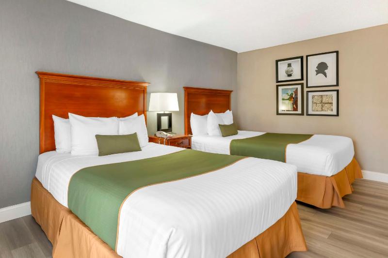 Queen Room with Two Queen Beds - Non-Smoking image 1