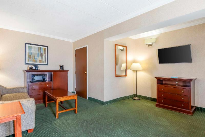 Penthouse - Non-Smoking image 4
