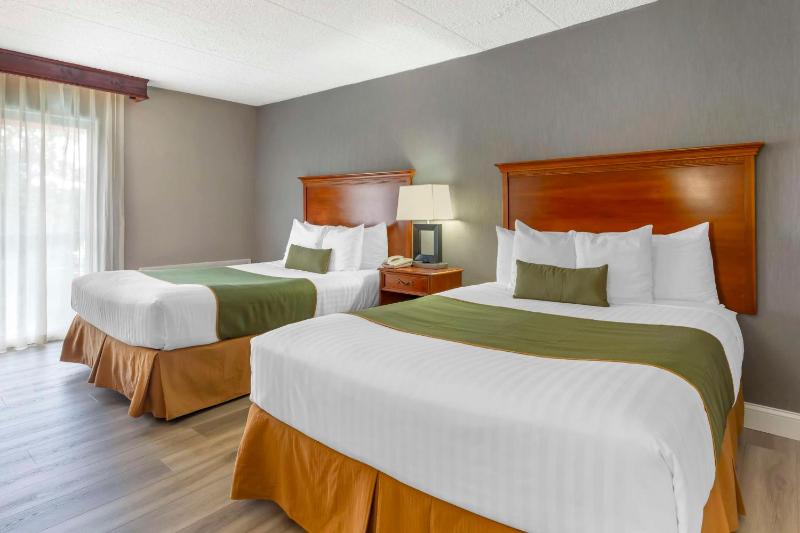 Queen Room with Two Queen Beds - Non-Smoking image 4